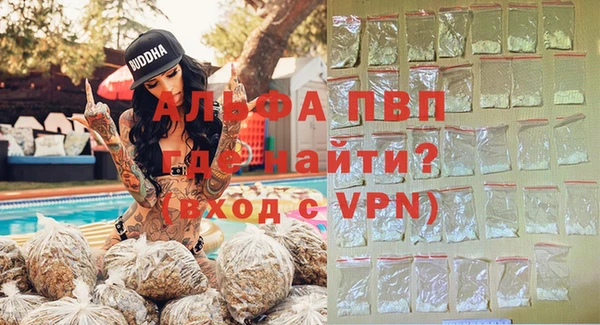 дживик Краснослободск