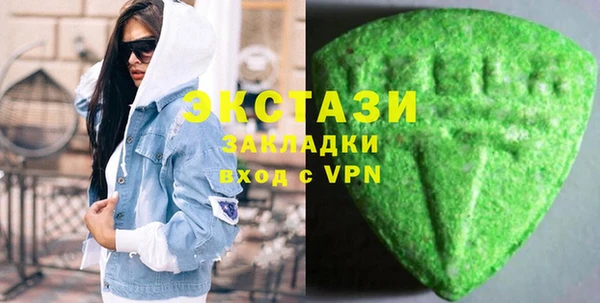 дживик Краснослободск