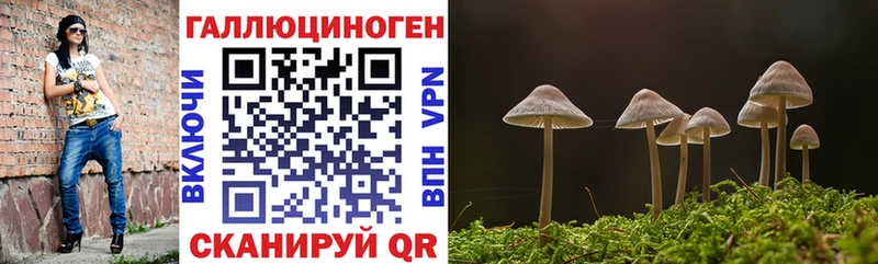продажа наркотиков  Дальнереченск  Галлюциногенные грибы прущие грибы 