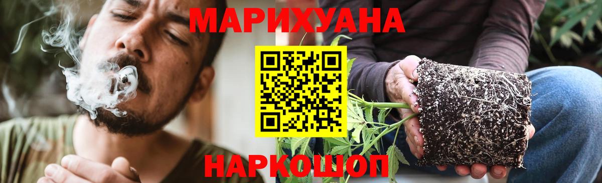 Конопля гибрид Дальнереченск